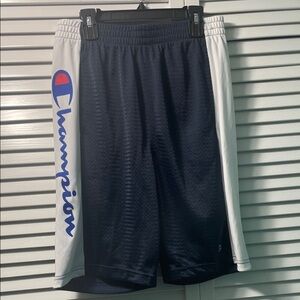 Champion Men's Athletic Shorts in Navy and White